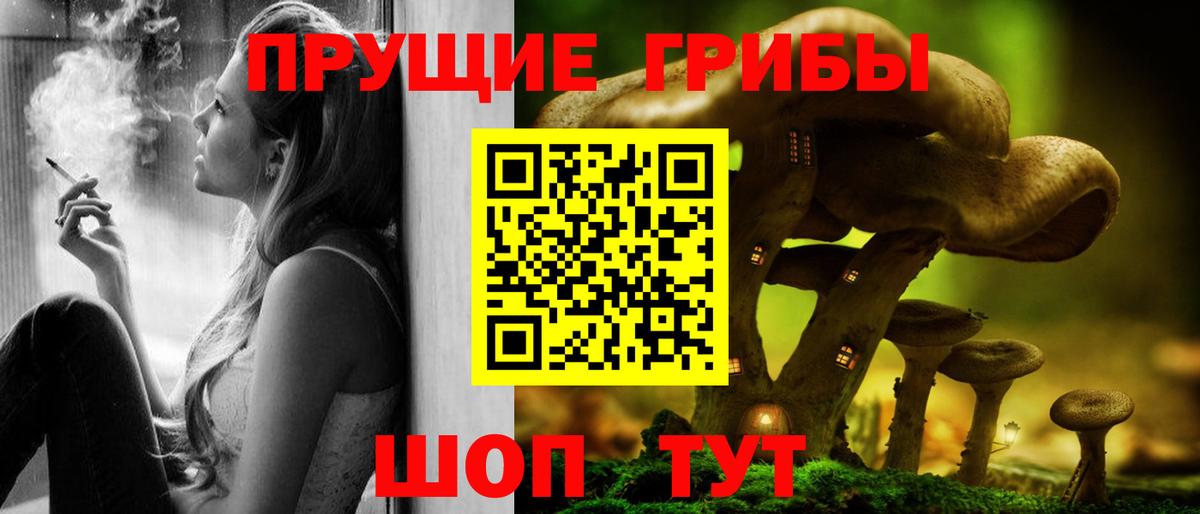 Петрозаводск  Галлюциногенные грибы Cubensis  хочу наркоту  Вход с VPN  Галлюциногенные грибы ЛСД 